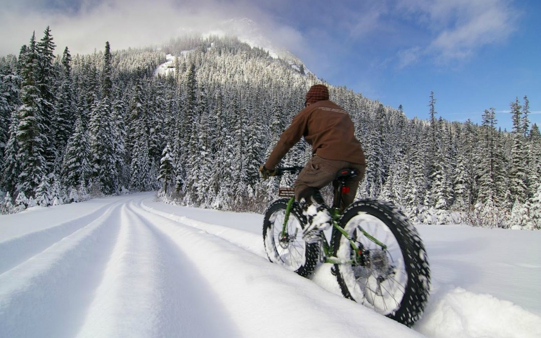 New : Electric FAT BIKE
